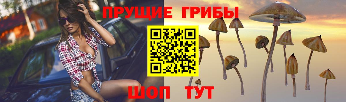Галлюциногенные грибы Cubensis  Псилоцибиновые грибы прущие грибы  Мичуринск  купить наркоту  Вход с VPN 